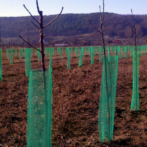 Plasa protectie pomisori Diametru 10 cm 1 m, Grădină>Plasă protecție pomișori – ofertă, preț și specificații
