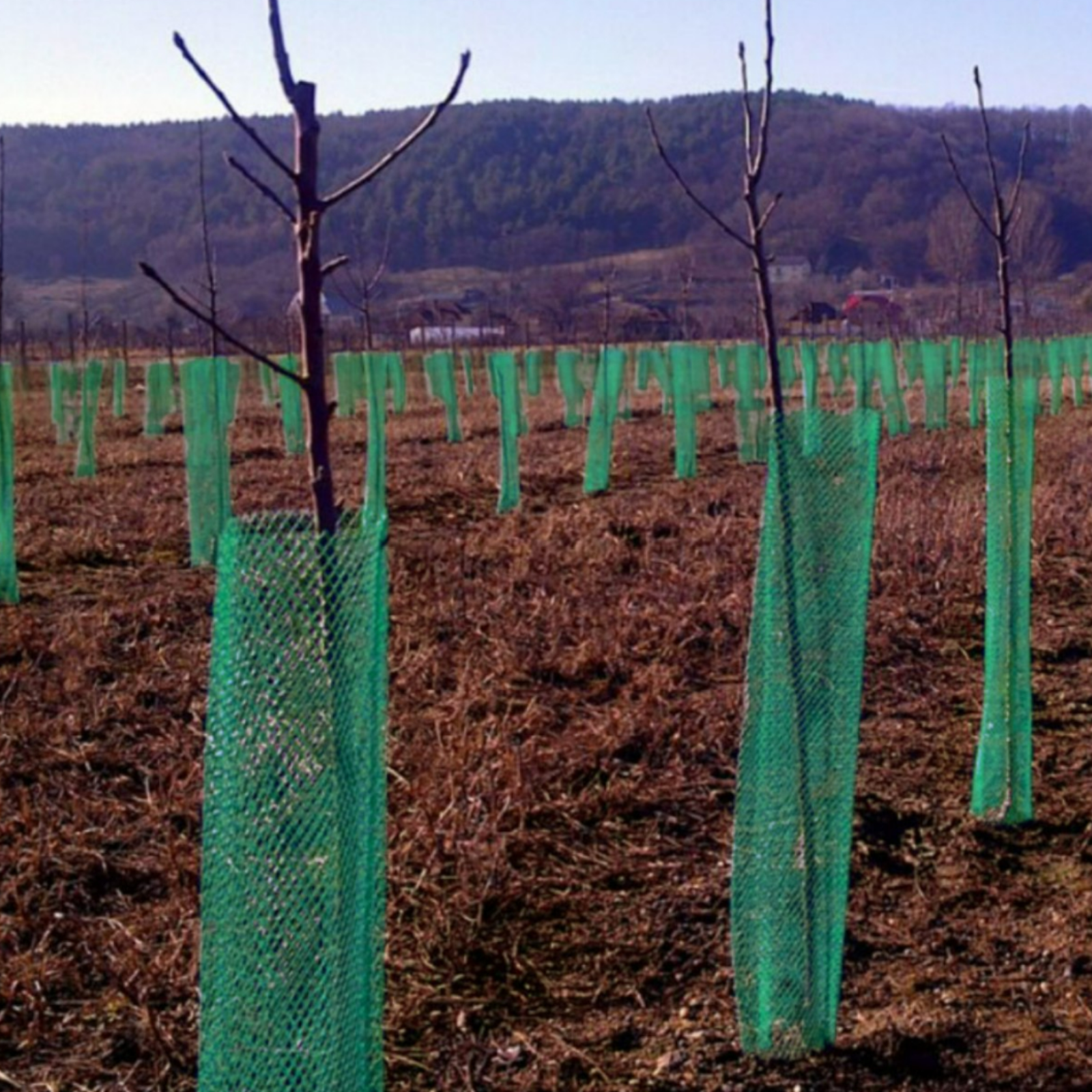 Plasa protectie pomisori Diametru 14 cm x 100 m, Grădină>Plasă protecție pomișori – ofertă, preț și specificații